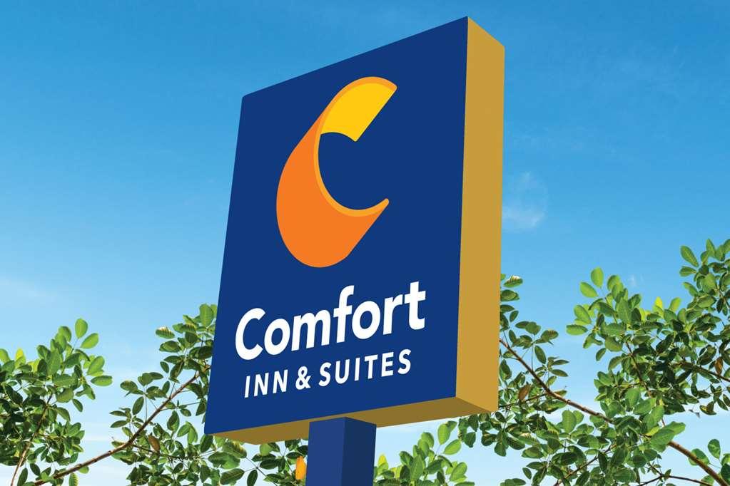 Comfort Inn & Suites Houma Zewnętrze zdjęcie